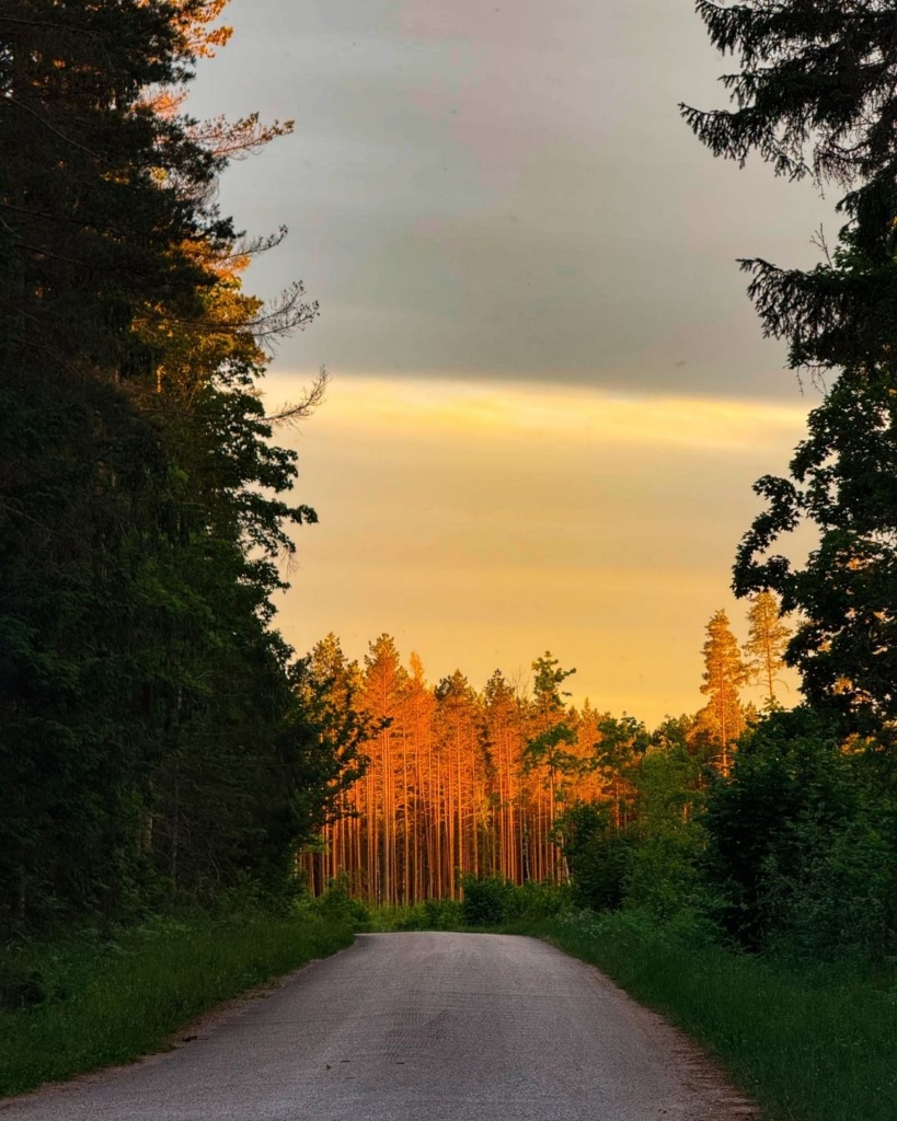 Valgejärve matkaraja algus enne päikeseloojangut