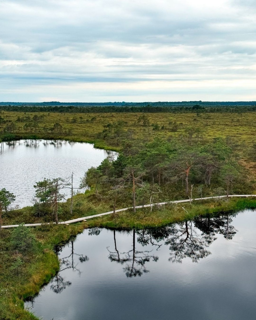 Marimetsa raba rabalaukad, vaade vaatetornist
