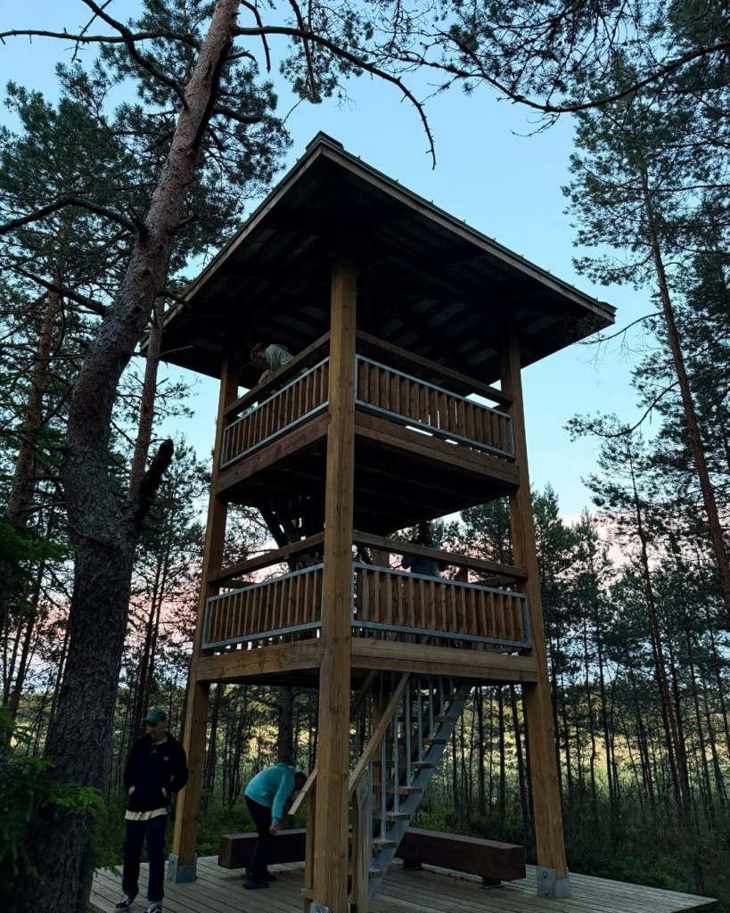 Läänemaa rabad: Valgejärve vaatetorn