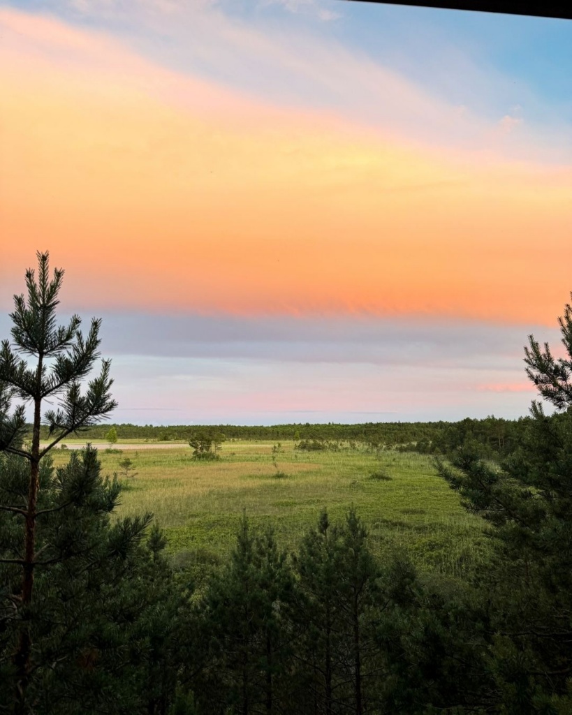 Vaade Valgejärve vaatetornist