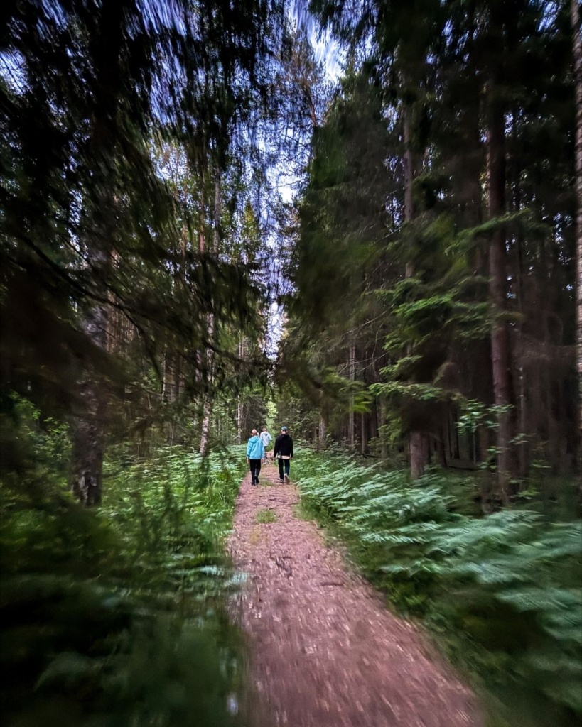 Läänemaa rabad: rabamets Valgejärve matkarajal