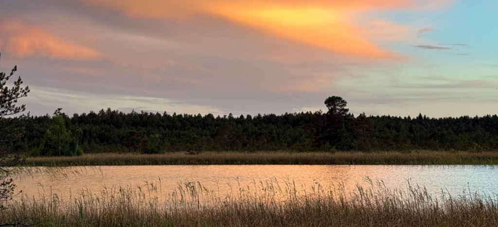 Läänemaa rabad: Valgejärve raba päikeseloojangul